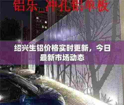 绍兴生铝价格实时更新,今日最新市场动态