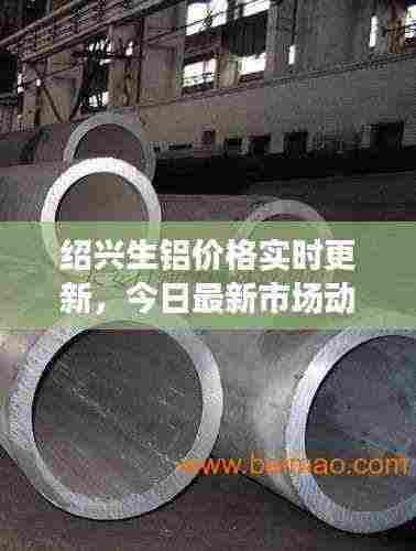 绍兴生铝价格实时更新，今日最新市场动态