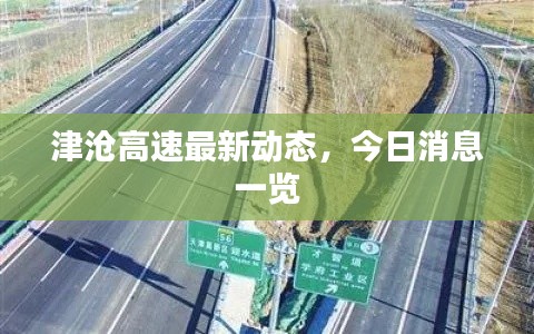 津沧高速最新动态,今日消息一览