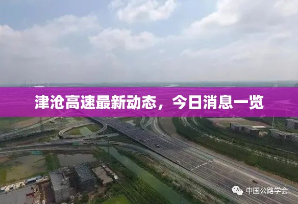 津沧高速最新动态,今日消息一览