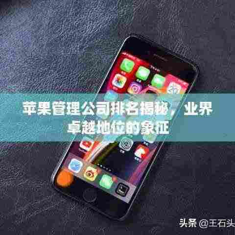 苹果管理公司排名揭秘,业界卓越地位的象征