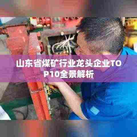 山东省煤矿行业龙头企业TOP10全景解析