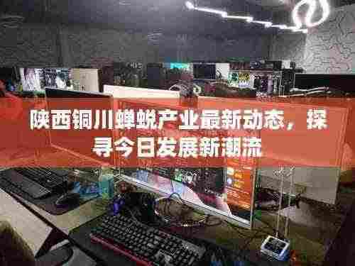 陕西铜川蝉蜕产业最新动态，探寻今日发展新潮流