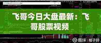 飞哥今日大盘最新:飞哥股票视频
