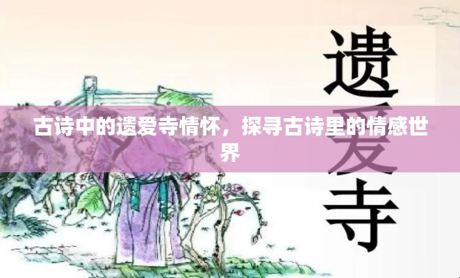古诗中的遗爱寺情怀,探寻古诗里的情感世界
