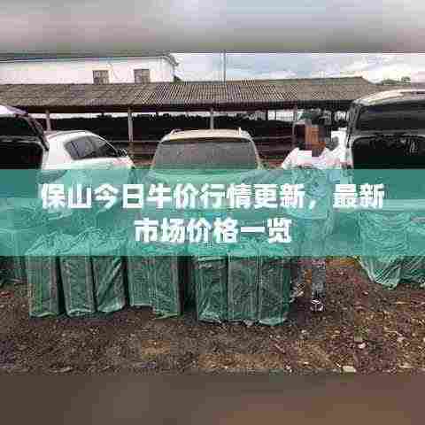 炙手可热 第4页