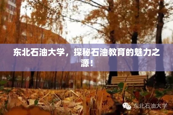 东北石油大学,探秘石油教育的魅力之源!