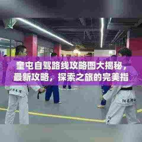 奎屯自驾路线攻略图大揭秘,最新攻略,探索之旅的完美指南