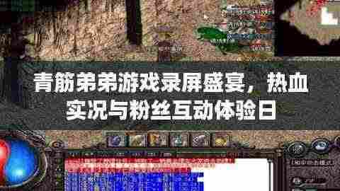 青筋弟弟游戏录屏盛宴,热血实况与粉丝互动体验日