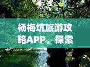 杨梅坑旅游攻略APP，探索自然美景的神秘之旅