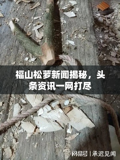 福山松萝新闻揭秘,头条资讯一网打尽