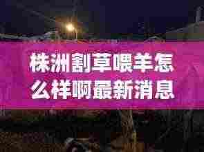 株洲割草喂羊怎么样啊最新消息:株洲最大的屠宰场在哪里
