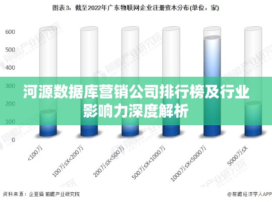 河源数据库营销公司排行榜及行业影响力深度解析