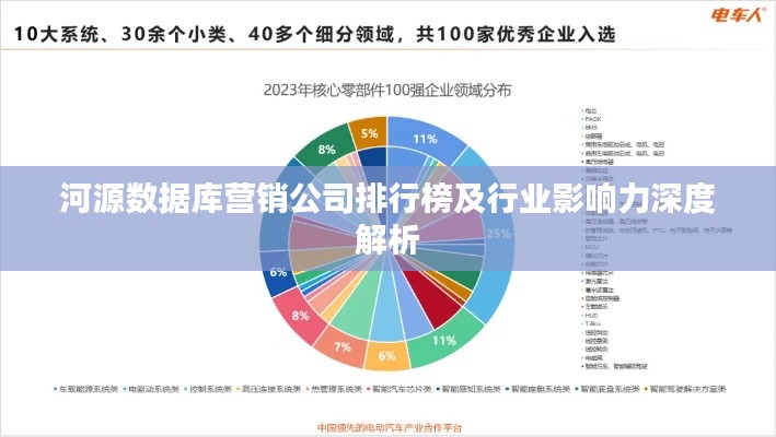 河源数据库营销公司排行榜及行业影响力深度解析