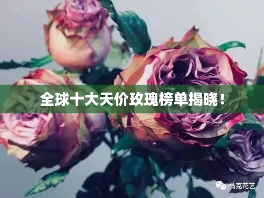 全球十大天价玫瑰榜单揭晓!