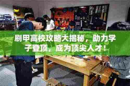 刷甲高校攻略大揭秘,助力学子登顶,成为顶尖人才!