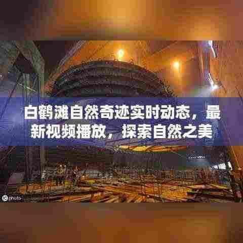 白鹤滩自然奇迹实时动态,最新视频播放,探索自然之美