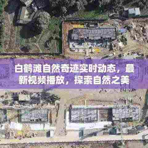 白鹤滩自然奇迹实时动态,最新视频播放,探索自然之美