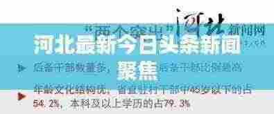 河北最新今日头条新闻聚焦