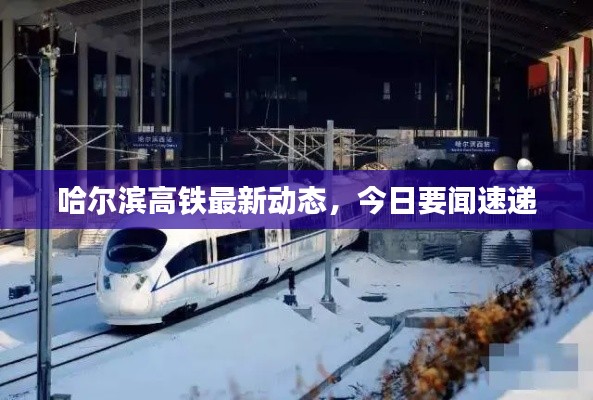 哈尔滨高铁最新动态,今日要闻速递