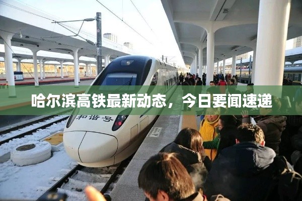 哈尔滨高铁最新动态,今日要闻速递
