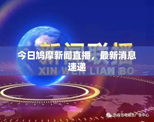 今日鸠摩新闻直播,最新消息速递