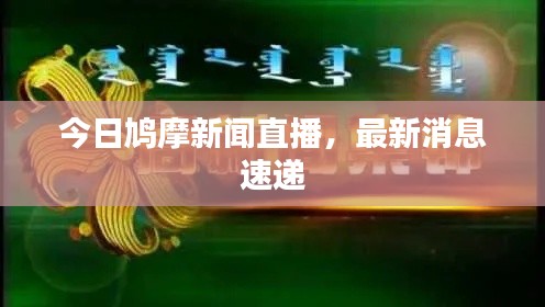 今日鸠摩新闻直播,最新消息速递