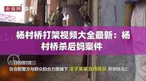 杨村桥打架视频大全最新：杨村桥杀后妈案件 