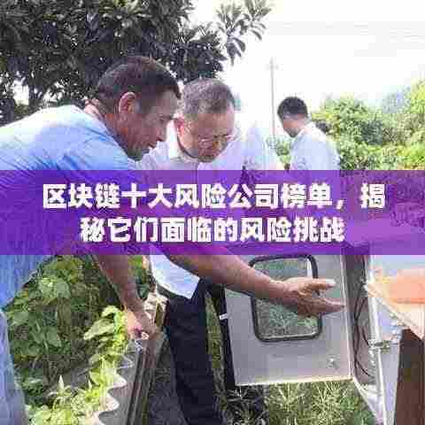 区块链十大风险公司榜单,揭秘它们面临的风险挑战