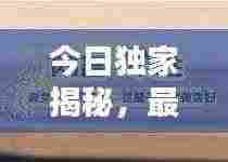 今日独家揭秘，最新个性网名创意指南