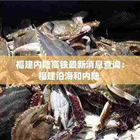福建内陆高铁最新消息查询:福建沿海和内陆