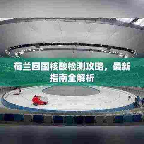 荷兰回国核酸检测攻略,最新指南全解析