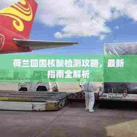 荷兰回国核酸检测攻略,最新指南全解析