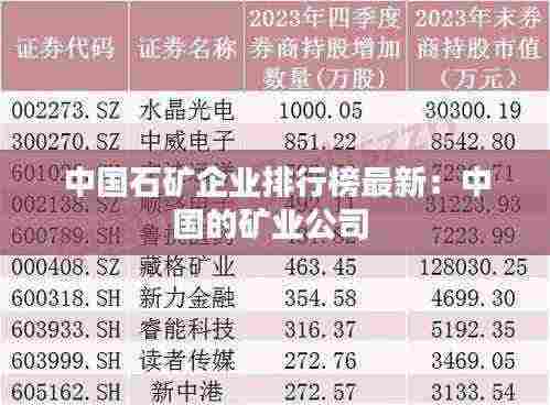 中国石矿企业排行榜最新：中国的矿业公司 