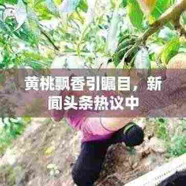 文质彬彬 第4页