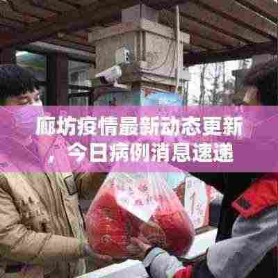 廊坊疫情最新动态更新,今日病例消息速递