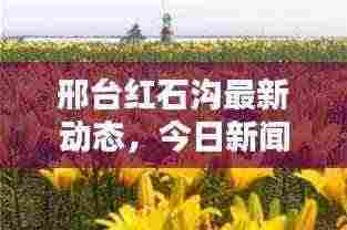 邢台红石沟最新动态，今日新闻头条揭秘！