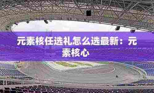 元素核任选礼怎么选最新：元素核心 