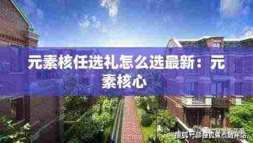 元素核任选礼怎么选最新:元素核心