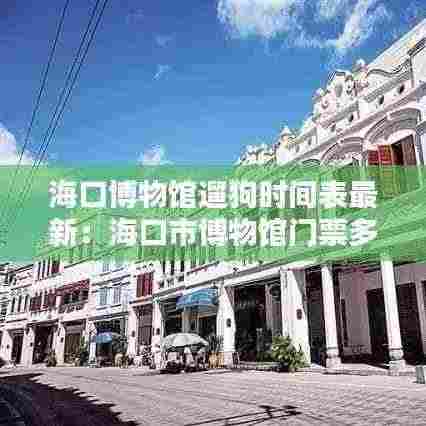 海口博物馆遛狗时间表最新：海口市博物馆门票多少钱 