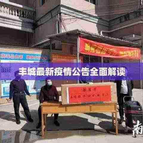 丰城最新疫情公告全面解读