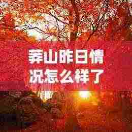 莽山昨日情况怎么样了最新消息：莽山旅游攻略自驾游门票 