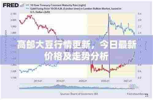 高邮大豆行情更新,今日最新价格及走势分析