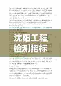沈阳工程检测招标最新公告：沈阳工程招标网站 