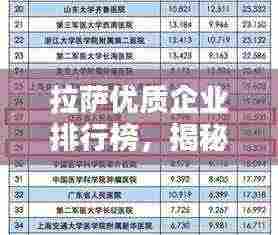 拉萨优质企业排行榜，揭秘最佳公司排名！