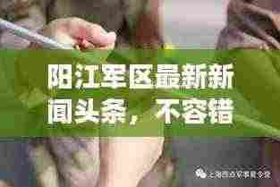 阳江军区最新新闻头条,不容错过的军事动态