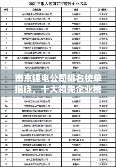 南京锂电公司排名榜单揭晓,十大领先企业榜单