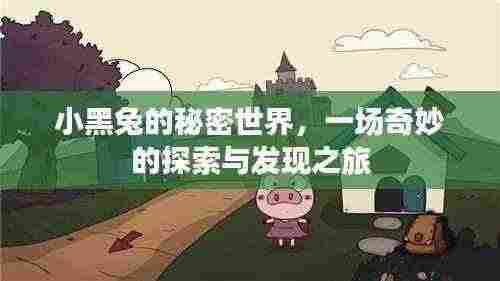 小黑兔的秘密世界，一场奇妙的探索与发现之旅