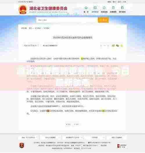 湖北疫情最新更新报告，今日最新动态