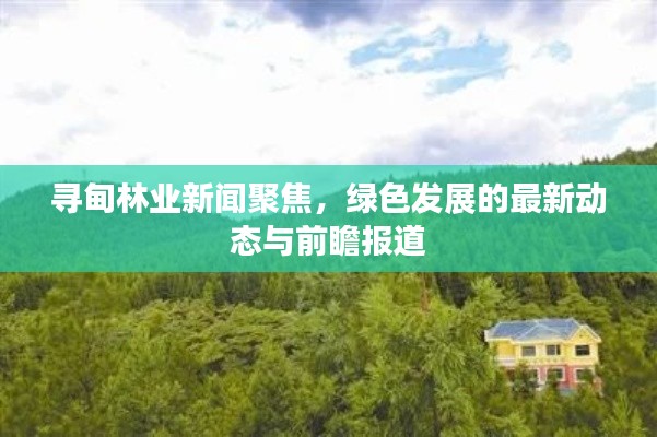寻甸林业新闻聚焦,绿色发展的最新动态与前瞻报道
